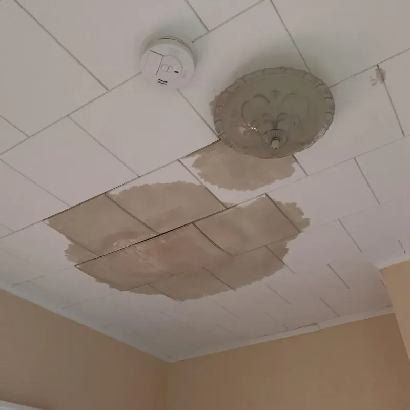 Ceiling Water Damage Repair in Baltic, SD