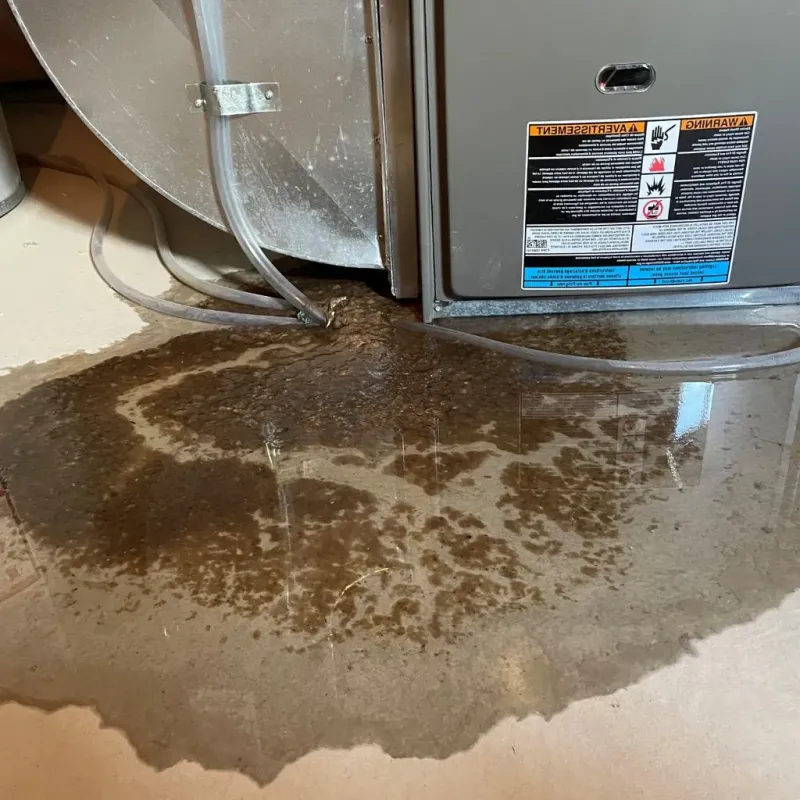 Pipe Burst and Leak Restoration in Baltic, SD