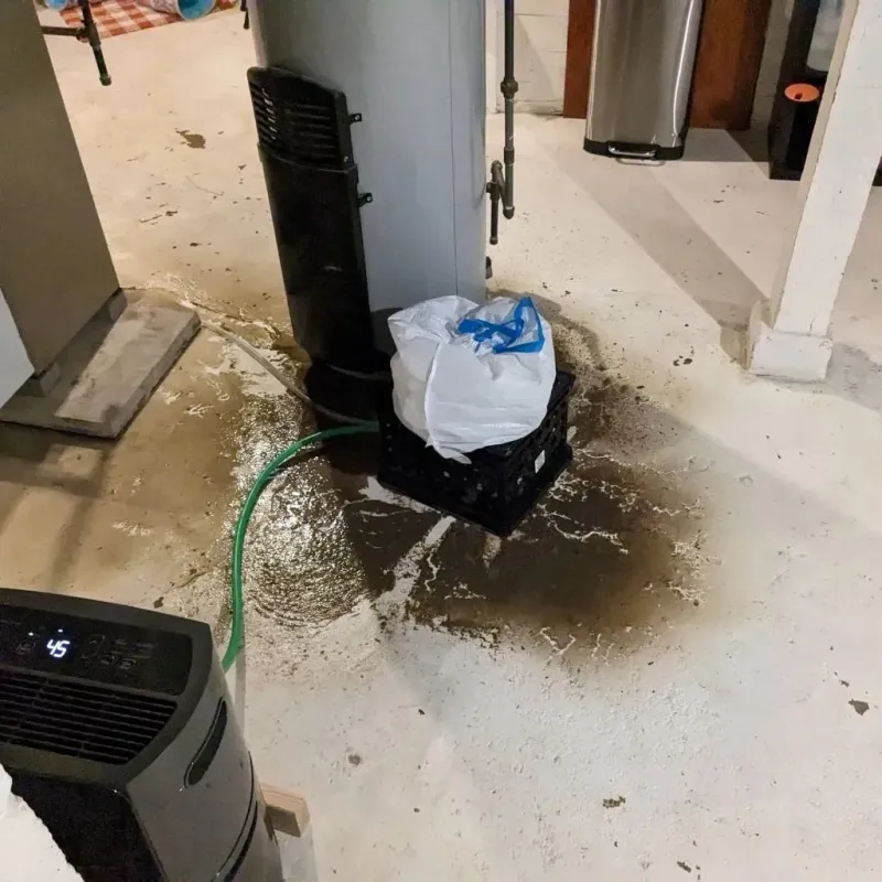 Sewage Backup Cleanup Service in Baltic, SD